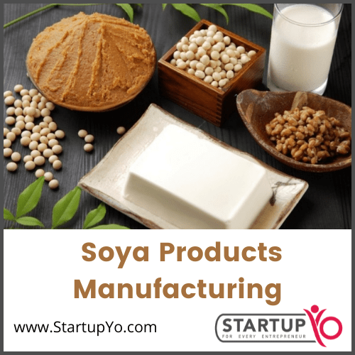 soya chaap manufacturing business plan