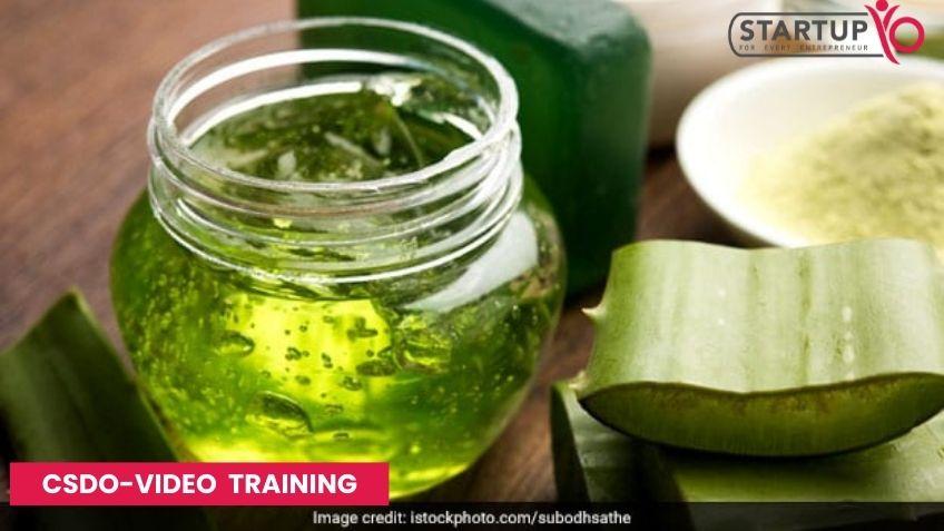 Professional Gel Making Course 2022 – Instant Video Recording