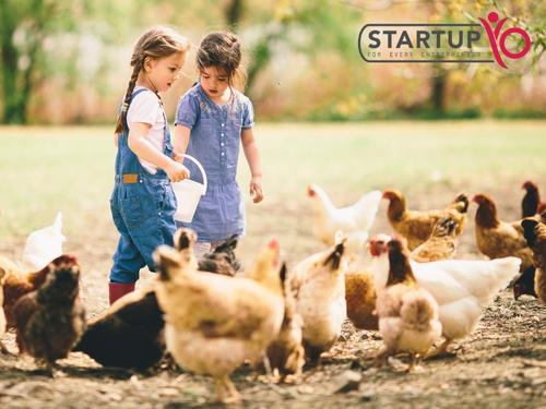 Expert Advice On Animal Feed