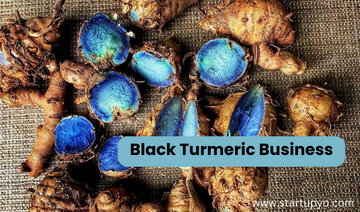 Black turmeric business- StartupYo