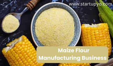 Maize Flour Manufacturing Business-StartupYo