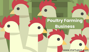 Poultry farming business - StartupYo