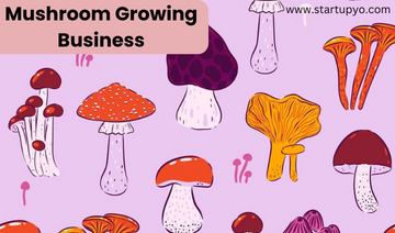 Mushroom Growing Business-StartupYo