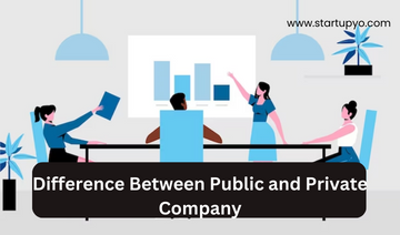 Public and Private Company