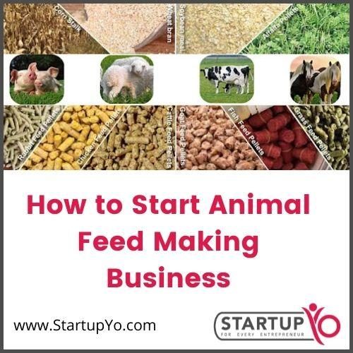 How to Start Animal Feed Making Business in 2023 - Investments, Profits, ROI