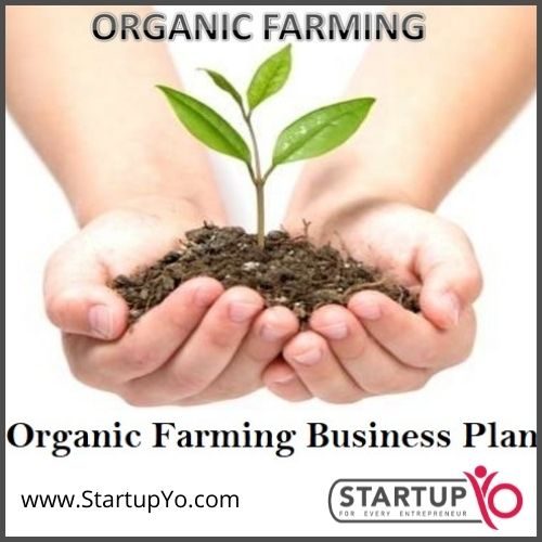 How to Start Organic Farming Business 2022 StartupYo