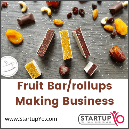 fruit bar making business